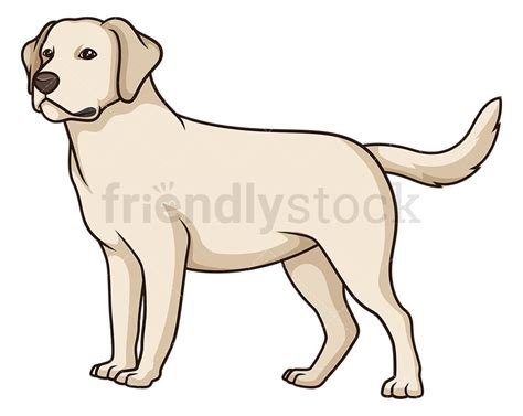 Gorgeous Labrador Retriever Cartoon Clipart Vector Friendlystock