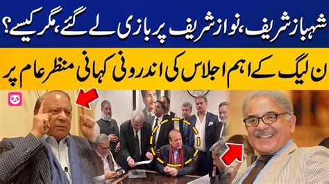 Shahbaz Sharif In Action Inside Story Of Pmln Important Meeting