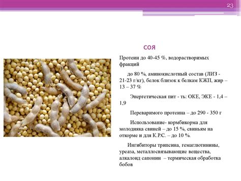 Концентрированные корма в животноводстве - презентация онлайн