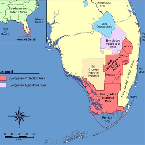 Pdf Atmospheric Deposition Of Phosphorus To The Everglades Concepts