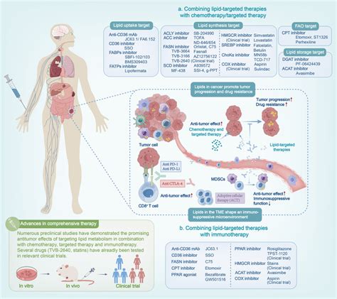 Lipid Targeted Therapy In Combination With Chemotherapy Targeted