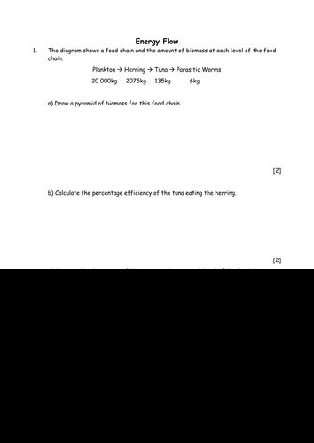 Biology Energy Flow Teaching Resources