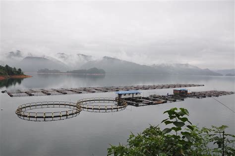 水产养殖学专业Aquaculture