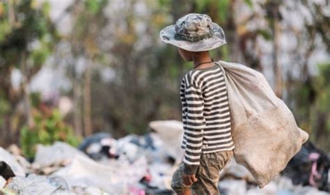 Trabalho Infantil Recua 14 6 Em Um Ano Segundo Dados Do Ibge