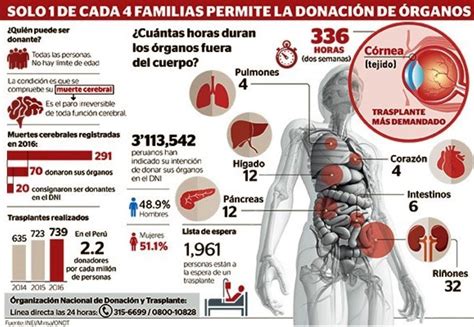 Donación De órganos En Perú Hombre Donante Salvó La Vida De Niña Y 4