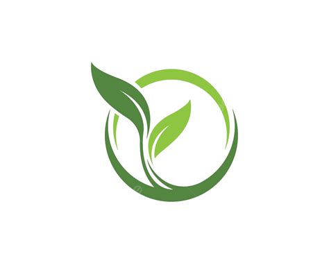 Green Leaf Ecology Nature Element Ecology Organic Design Vector Ecology Organic Design Png