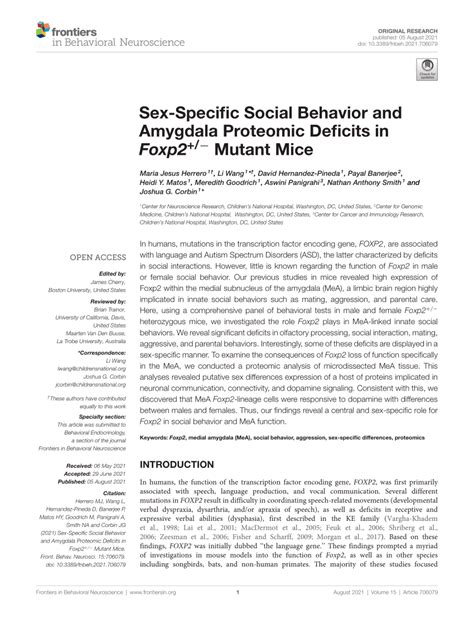 PDF Sex Specific Social Behavior And Amygdala Proteomic Deficits In