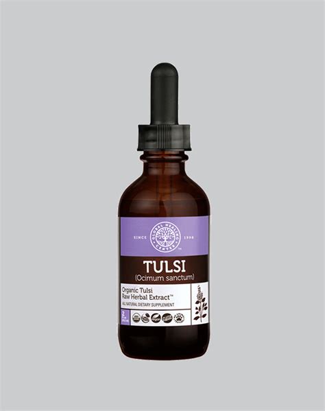 Organic Tulsi Holy Basil for Stress Relief - Free Delivery Australia Wide