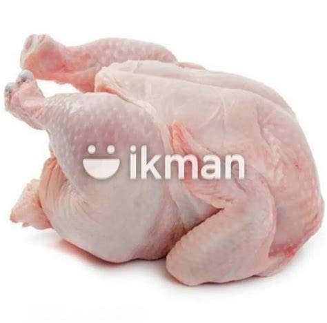 Fresh Chicken For Sale In Matara City Ikman