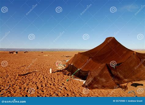 Nomad Tent Stock Image | CartoonDealer.com #6192199