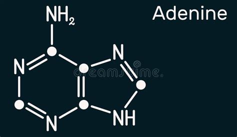 Adenine chemical formula stock vector. Illustration of adenine - 150248201