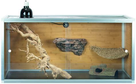 How To Choose The Best Bearded Dragon Tank For Your Space And Budget