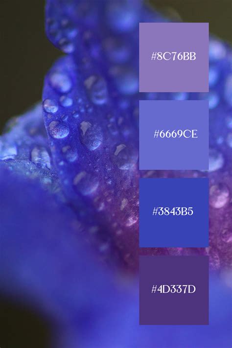 25 Best Purple Color Palettes With Names And Hex Codes Artofit