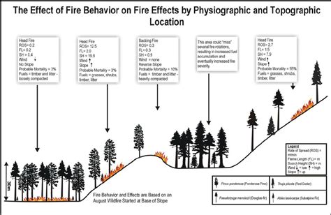 The Effect Of Fire Behavior On Fire Effects By Physiographic And