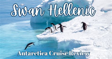 Swan Hellenic Antarctica Cruise Review Flight Of The Educator