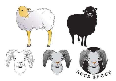 Sheep Isolated Vectors 87402 Vector Art At Vecteezy