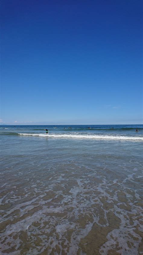 THE 15 BEST Things to Do in Shima - 2022 (with Photos) - Tripadvisor