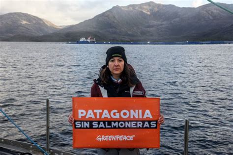 Tribunal Deja Sin Efecto Rca Del Centro De Cultivo De Salmones En La