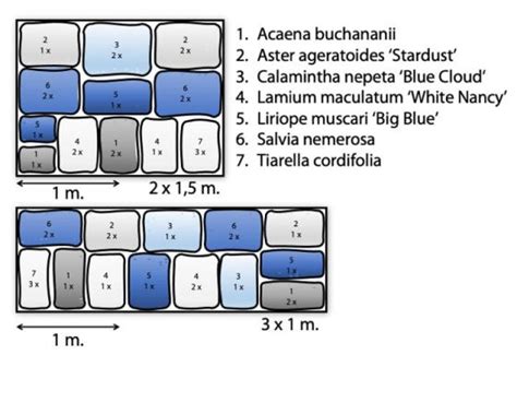 Blauw Wit Borderpakket