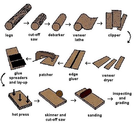 How Is Plywood Manufactured Step By Step The Habit Of Woodworking