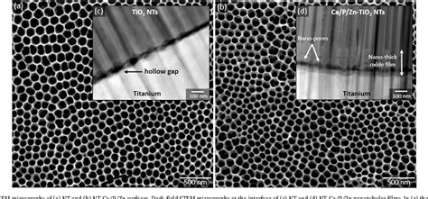 Figure 1 From Improved Tribocorrosion Performance Of Bio Functionalized