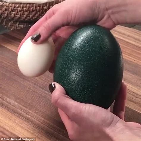 Emu Egg Vs Ostrich Egg