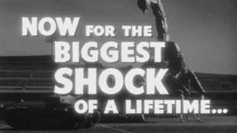 Vintage Peep Show Style Nude Print Packs Of 6 NSFW Etsy Canada