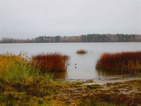Озеро Тараскуль, Тюмень. Отели рядом, фото, видео, как добраться ...