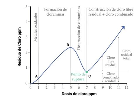 Agua Conociendo A Detalle El Poder Del Cloro Actualidad Porcina