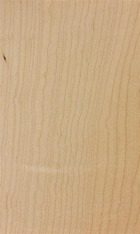 Hard Maple – Associated Hardwoods, Inc.