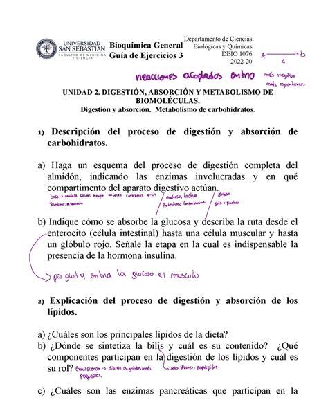 Repaso Unidad Il Bioquímica Bioquímica General Guía de Ejercicios 3