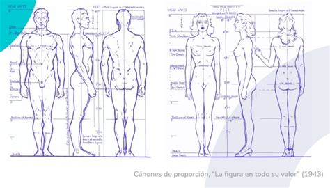 ️ 20 Ejercicios De Dibujo Para Aprender Paso A Paso Crehana