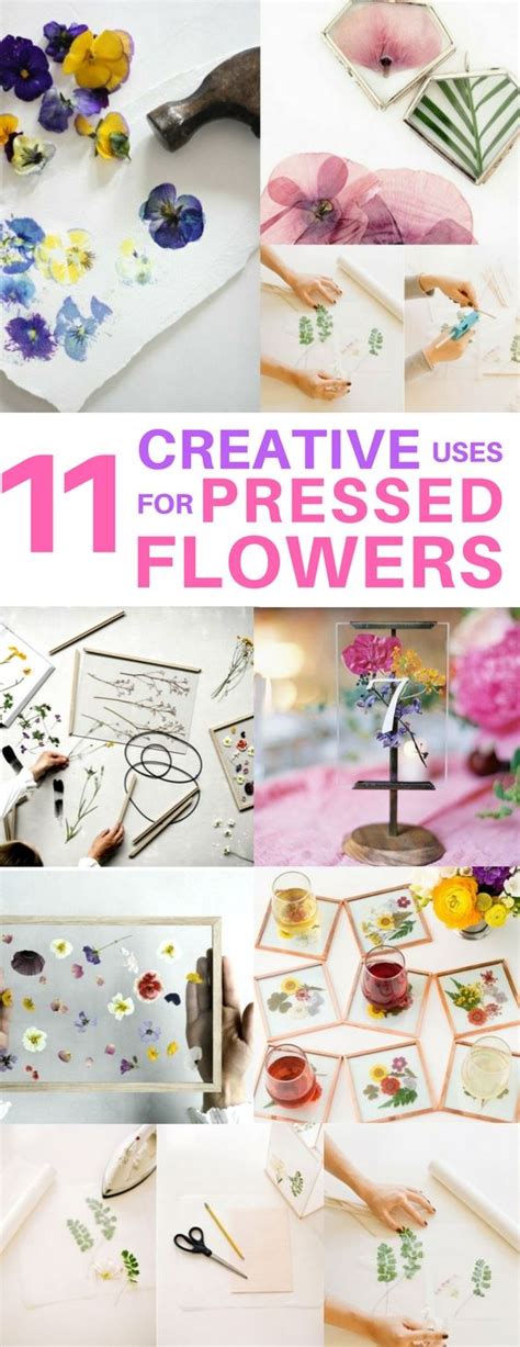 DIY Cheap EASY DIY Pressed Flower Coasters Phone Case Wall Art