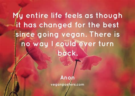 entire life feels    vegan posters