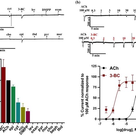 Effects Of Nachr Agonists And Antiparasitic Drugs On The Aca Acr