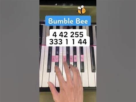 Bumble Bee (Piano Tutorial) #TikTok in 2023 | Piano tutorial, Piano songs, Bee