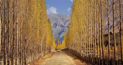 Autumn In Pakistan Tour Islamabad Skardu Nager Valley Hunza Gojal