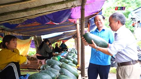 Nông dân xã Thanh Bình vào vụ thu hoạch dưa hấu Lào Cai