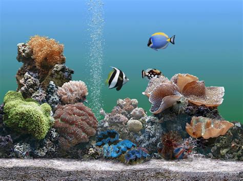 Dream Aquarium Screensaver Screnshots