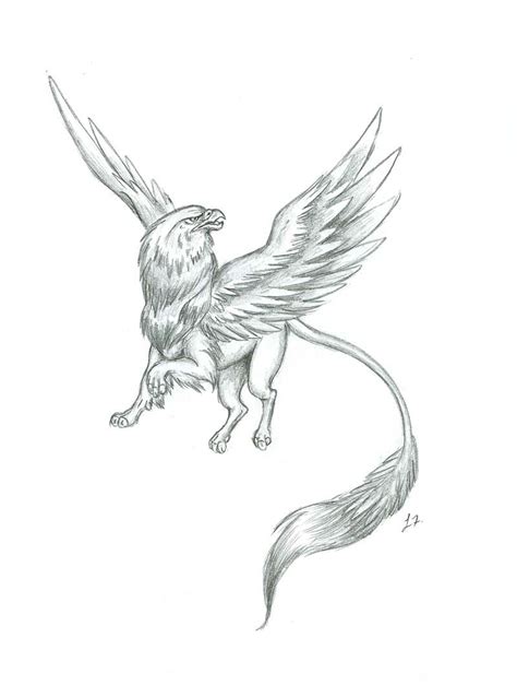 Gryphon Art Bing Images Griffin Tattoo Creature Drawings Nature