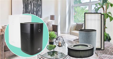 Do Air Purifiers Help With Allergies