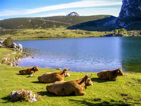 Ruta Lagos De Covadonga Bunji