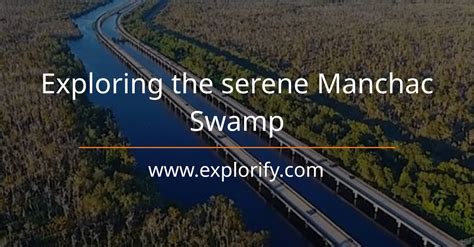 Exploring the serene Manchac Swamp - Explorify Rentals