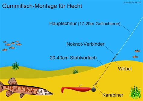 Angeln im Bodden Gerät Köder Technik Erlaubnisse Simfisch de