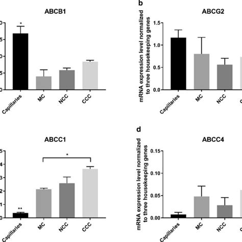 Efflux Transporters A Quantitative Mrna Expression Levels Of Abcb1 Download Scientific