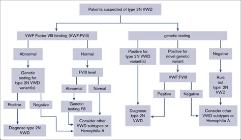 Updated Guidelines For The Diagnosis Of Von Willebrand Disease BJH