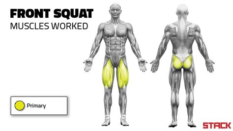 Front Squat 101: How to Master The Move in 5 Minutes - stack