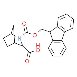 Aza Bicyclo Heptane Dicarboxylic Acid H Fluoren