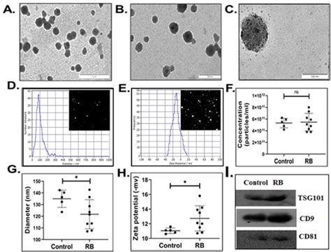 Representative transmission electronic images of small EVs (sEVs ... 