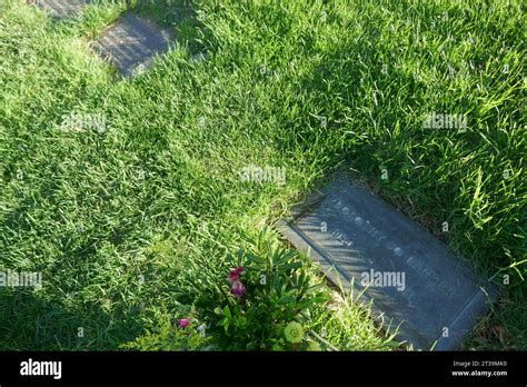 Bob Barker Grave Hi Res Stock Photography And Images Alamy